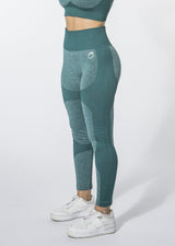 Kontour Seamless Leggings