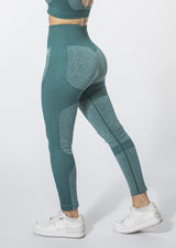 Kontour Seamless Leggings