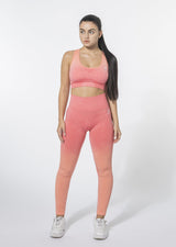 Ensemble Ombre (Leggings et soutien-gorge de sport)