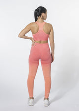 Ensemble Ombre (Leggings et soutien-gorge de sport)