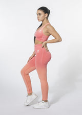 Ensemble Ombre (Leggings et soutien-gorge de sport)