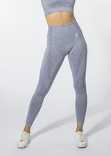 ACTIVE Seamless Leggings