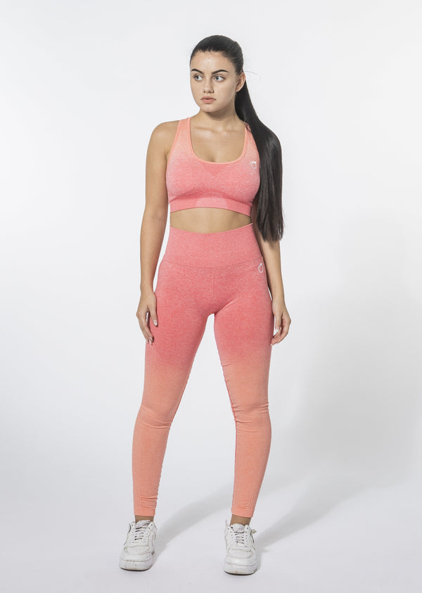 [LASTCHANCE] Ombre Set (Leggings und Sport-BH)