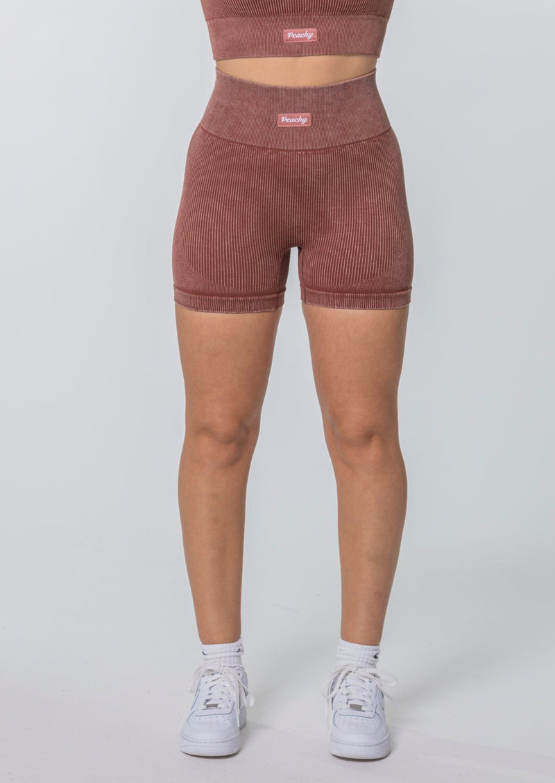 AURORA Seamless Shorts